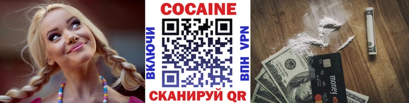 Кокаин FishScale  цена   ОМГ ОМГ маркетплейс  Железногорск 