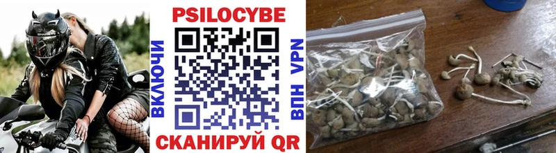 Галлюциногенные грибы мицелий  Железногорск 